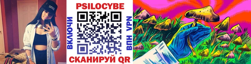 Галлюциногенные грибы Psilocybine cubensis  Добрянка 