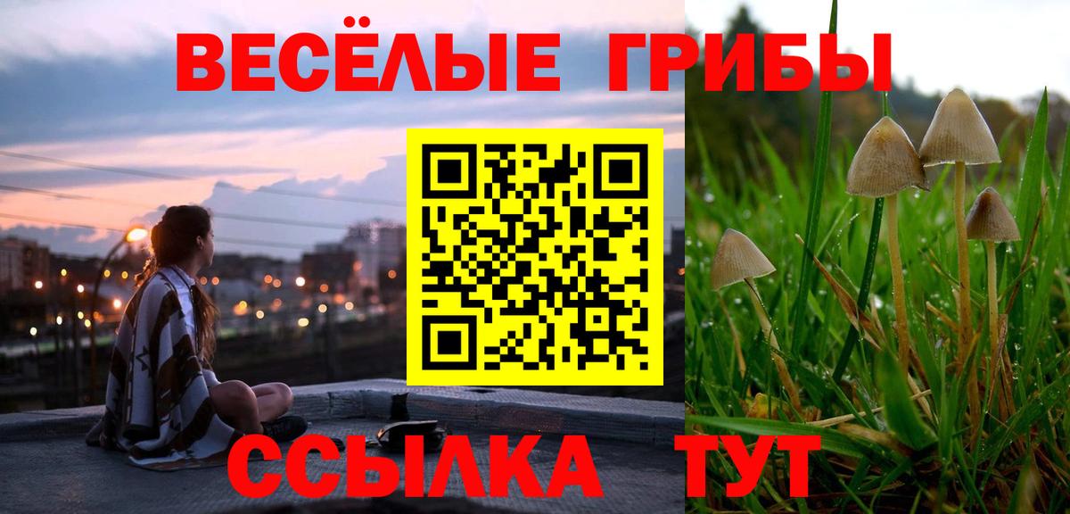 Галлюциногенные грибы Psilocybine cubensis Добрянка