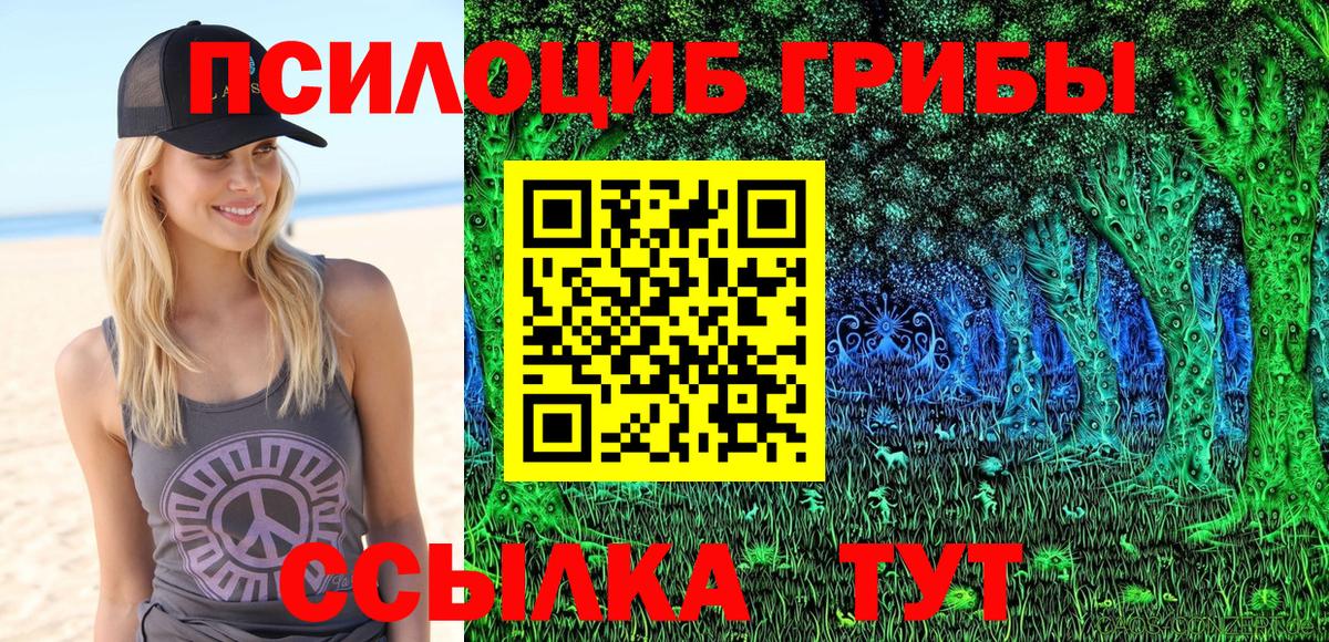 Псилоцибиновые грибы Cubensis  Вход с VPN  Добрянка 